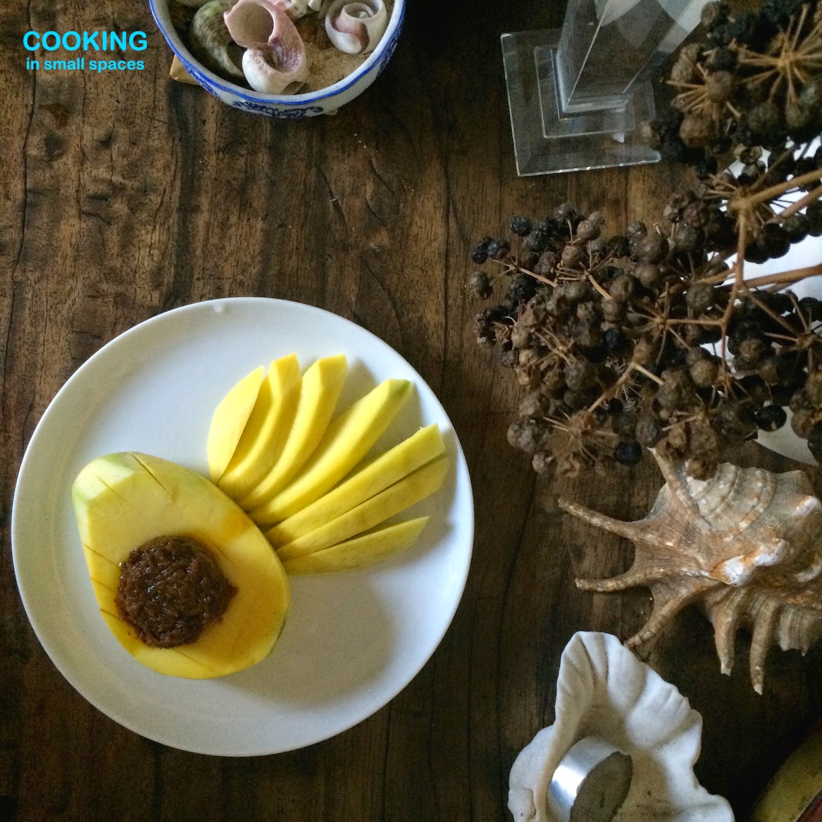 Bagoong description picture