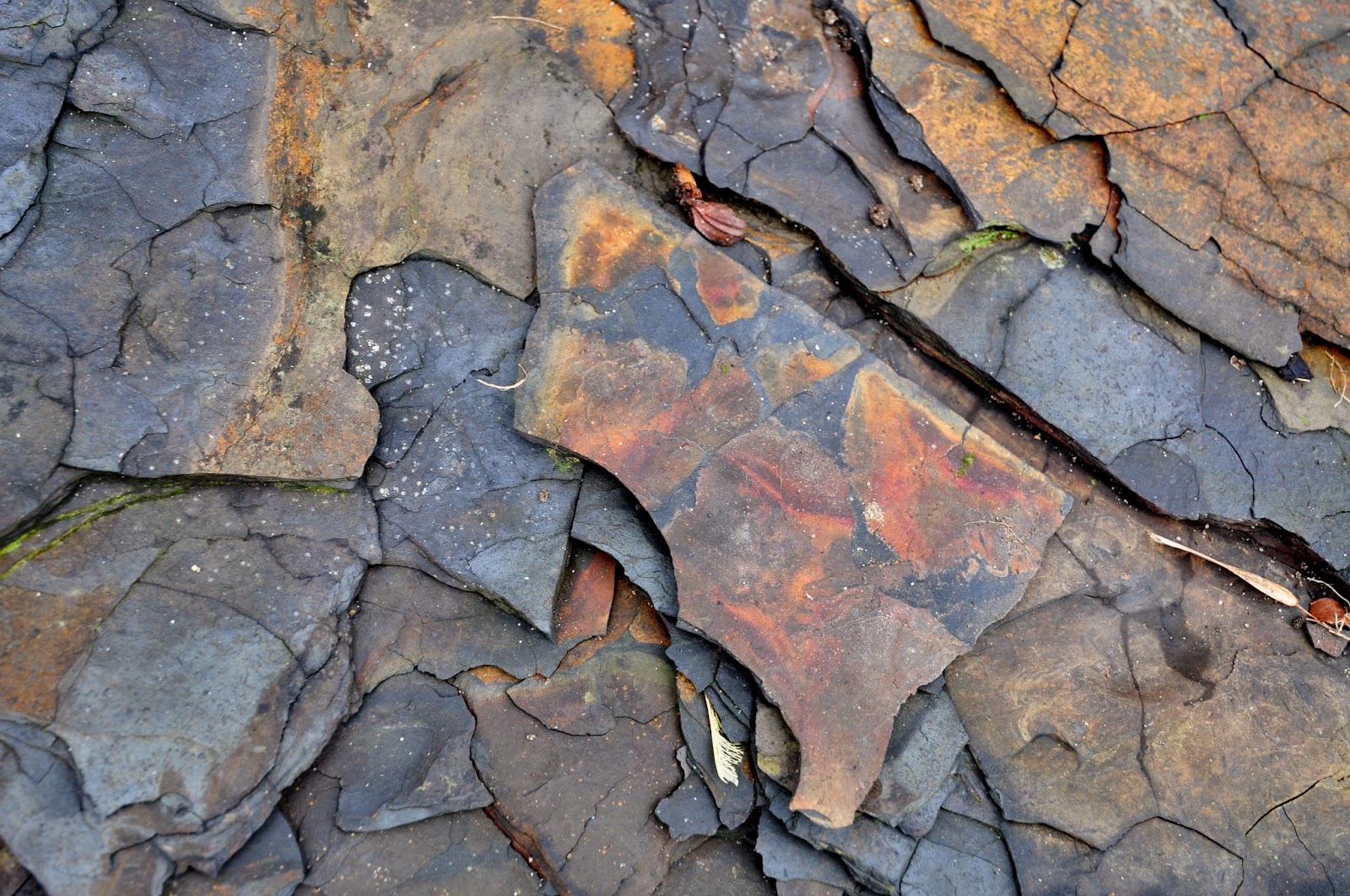 Filming for a BBC Scotland documentary on Oil Shales by Carol Cotterill