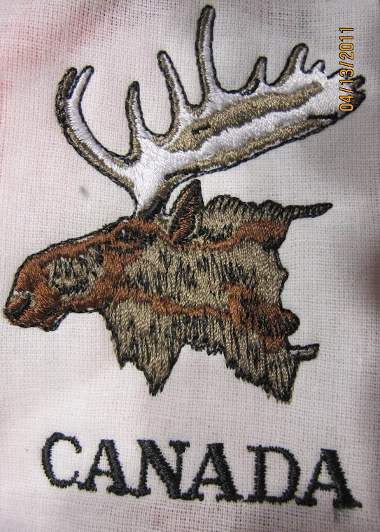canada moose