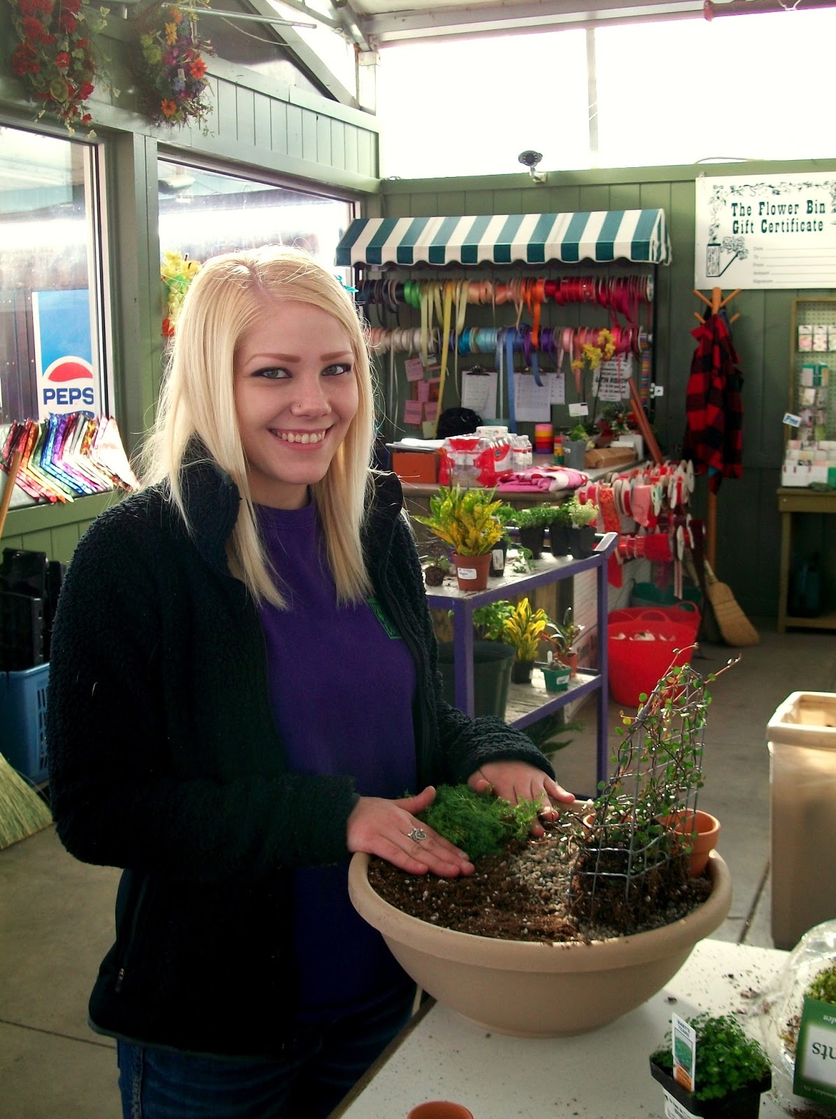 The Flower Bin Fairy Gardens