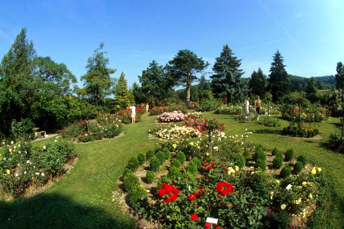 1 Nice Flowers Garden Wallpapers cokolwiekap