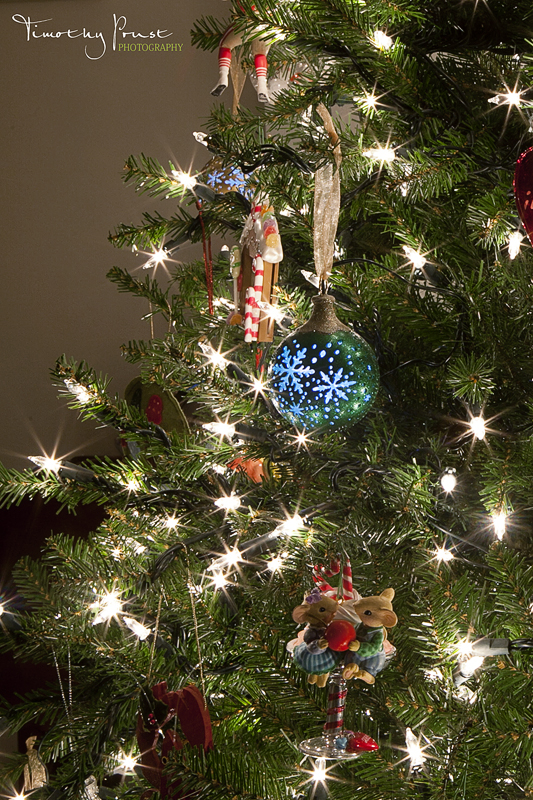 Timothy Prust Photography Photographing Your Christmas Tree Tutorial