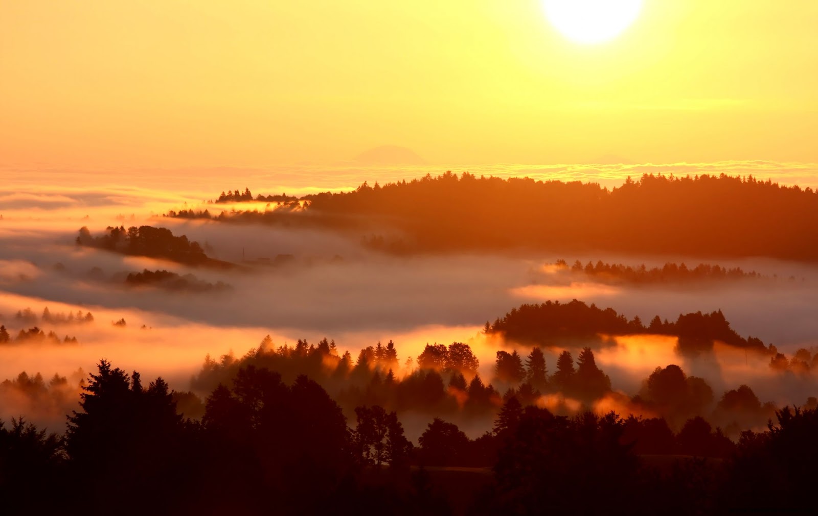 Sunrise Fog Sunrise Fog