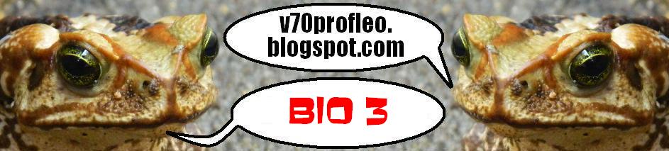 v70profleo-bio3.blogspot.com