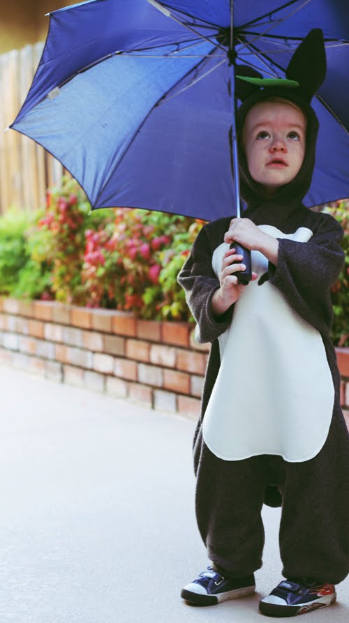 craftg33k HOWTO Toddler Totoro Costume
