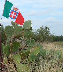 South Texas