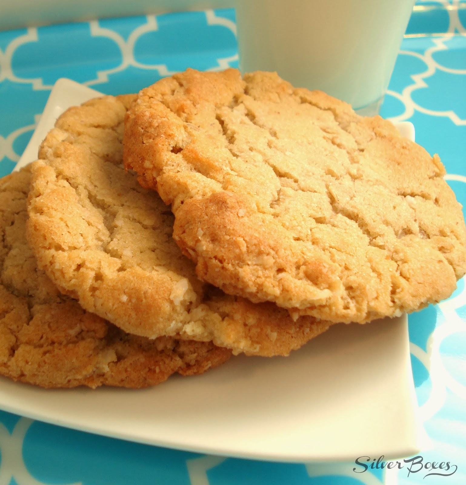 Silver Boxes Coconut Oatmeal Cookies A Great Lunchbox Treat!