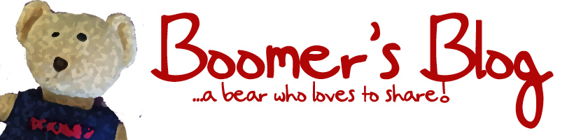 Boomer's Blog