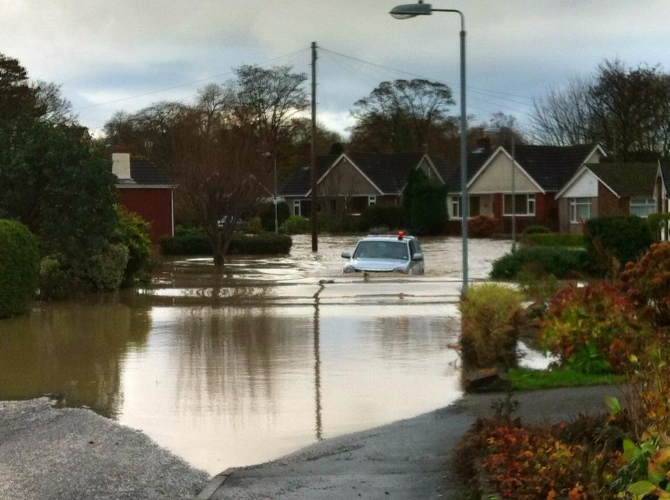 We Bird North Wales St.Asaph Flooding