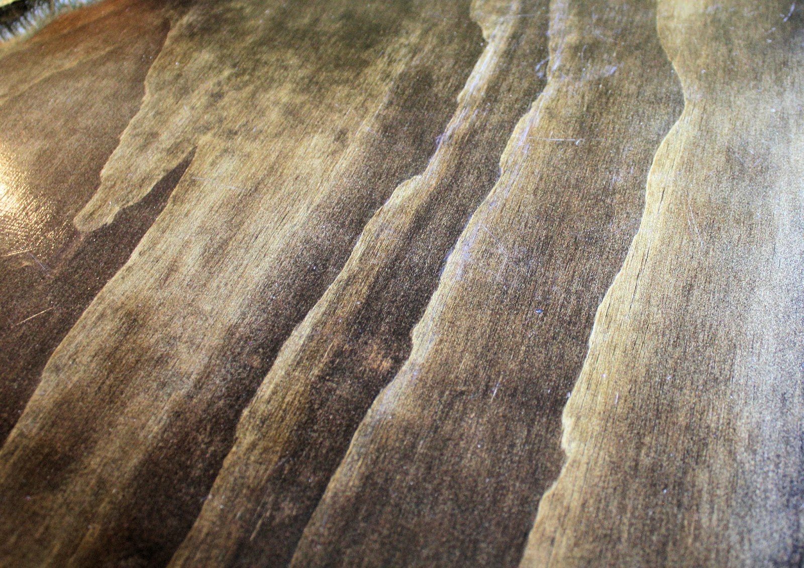 Jacobean Joy Studio Design Gallery Photo