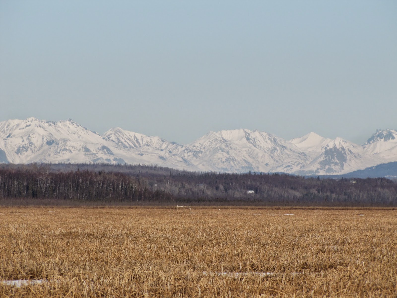 AKStafford Scout Ridge & The Palmer Hay Flats at Cottonwood Creek