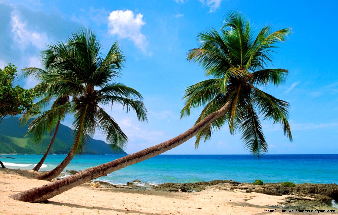 St Croix Us Virgin Islands Papeis Desktop Image Beaches Hd Wallpaper St Croix Us Virgin Islands Papeis Desktop Image Beaches Hd Wallpaper