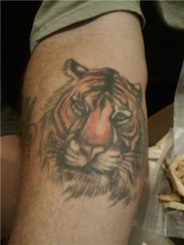 Tiger Tattoos Tattoos For Men