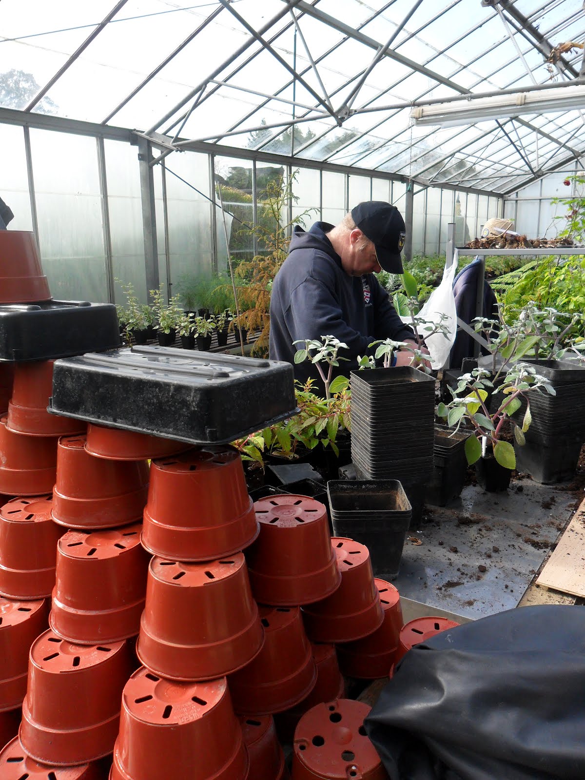 Worcester College Gardeners 20092018 Pot Washing, Potting On and Planting