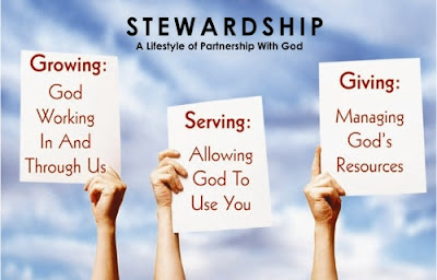 Stewardship And A Steward