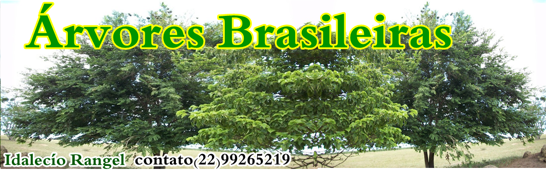 ÁRVORES BRASILEIRAS