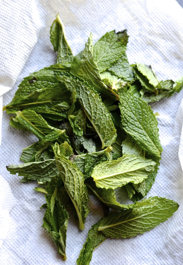 Pistachio Mint Pesto Always Order Dessert