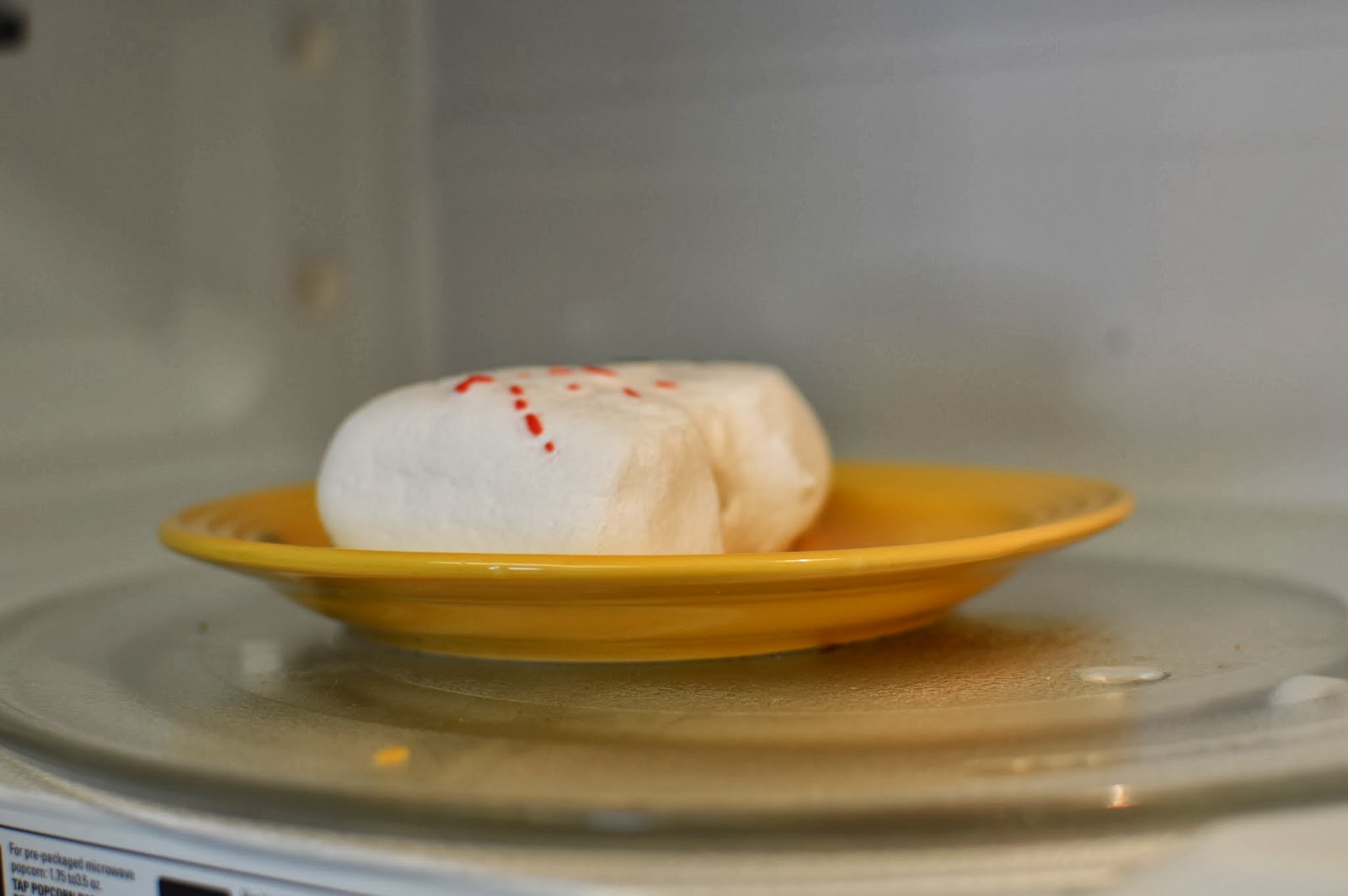 Huang Family Marshmallow Experiment