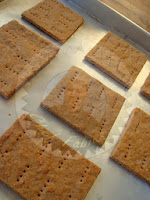 Graham cracker graham-cracker
