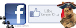 Like Me on Facebook