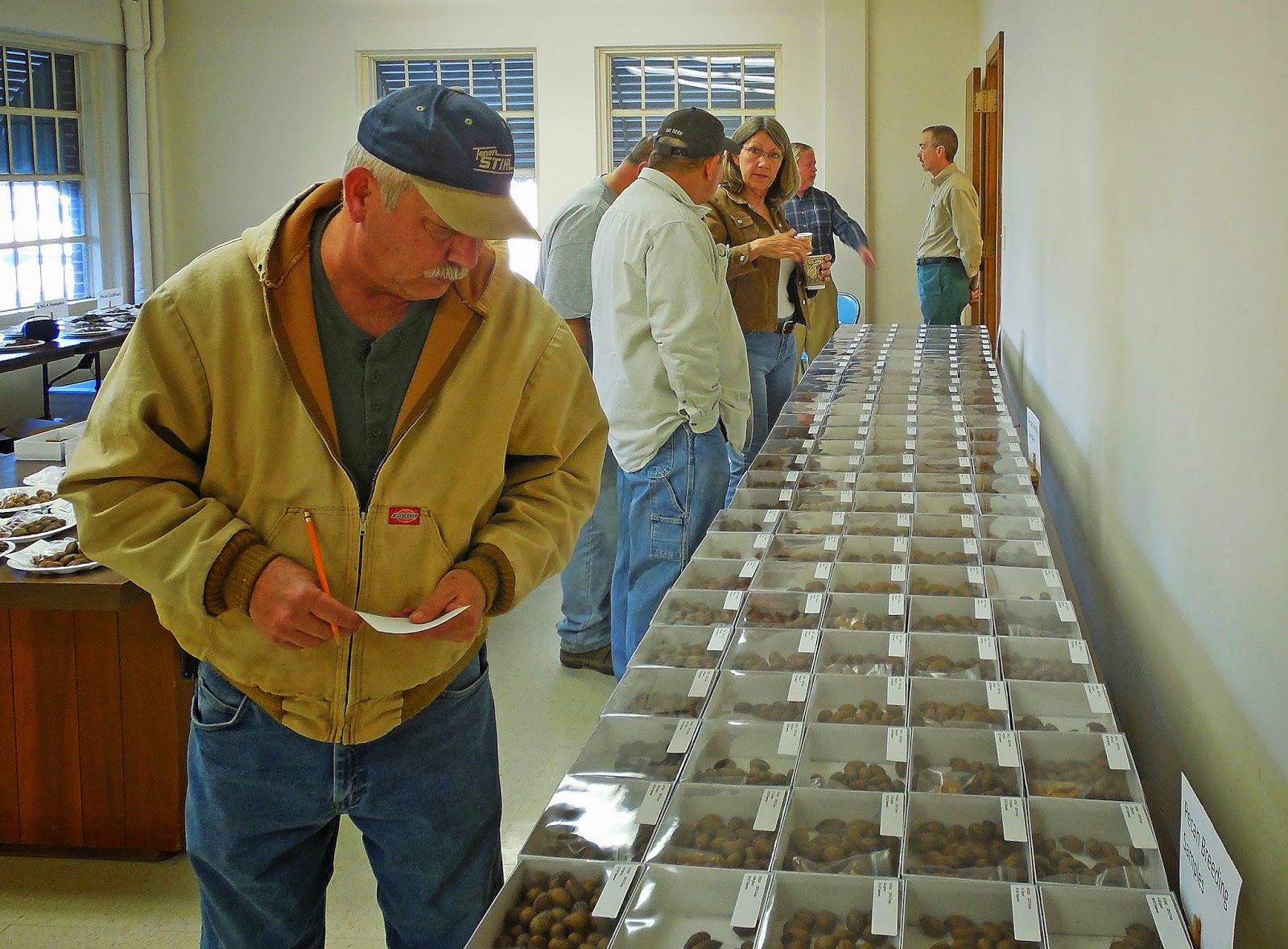 Northern Pecans March 2014