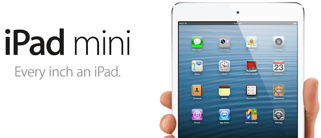 Apple iPad Mini Captured Image