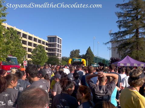 Stop And Smell The Chocolates 5 Myths Of C25k Couch To 5k
