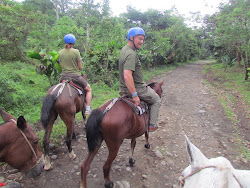 Our descent from the ziplines