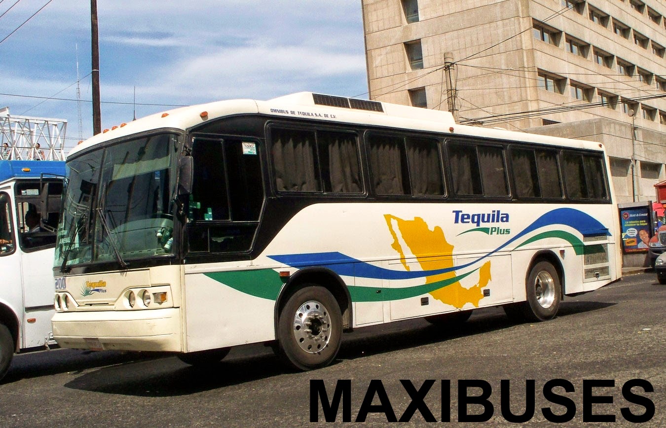 MAXIBUSES OMNIBUS DE TEQUILA, TEQUILA PLUS