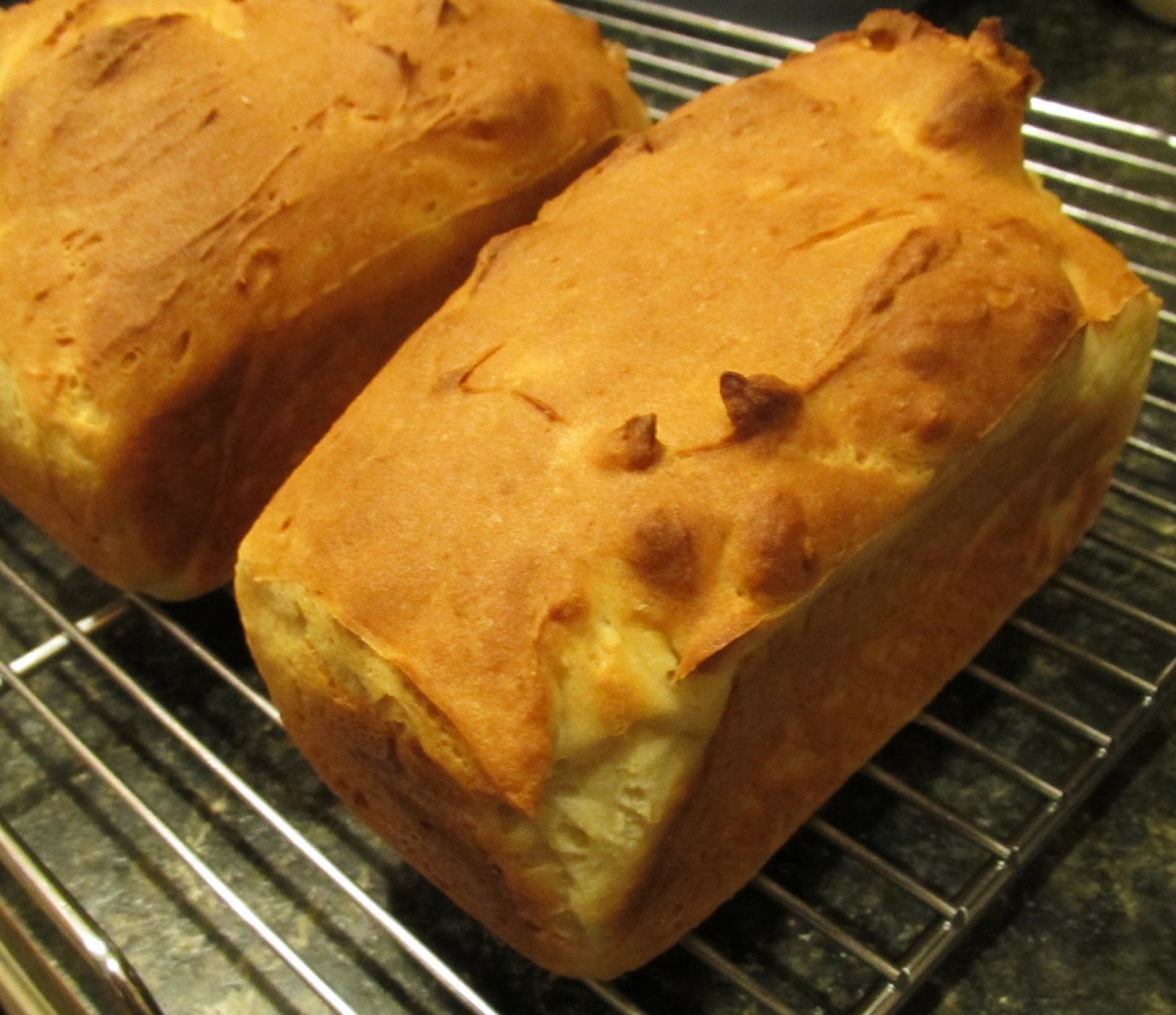 Successfully Gluten Free! Delicious GlutenFree White Bread Recipe