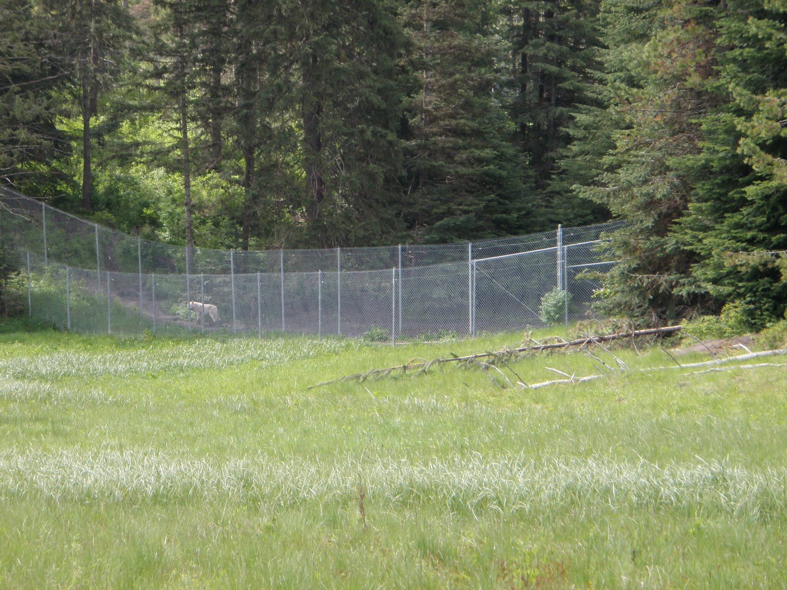 Lone Rider Pedals Lewiston, ID to Winchester, ID 40 miles