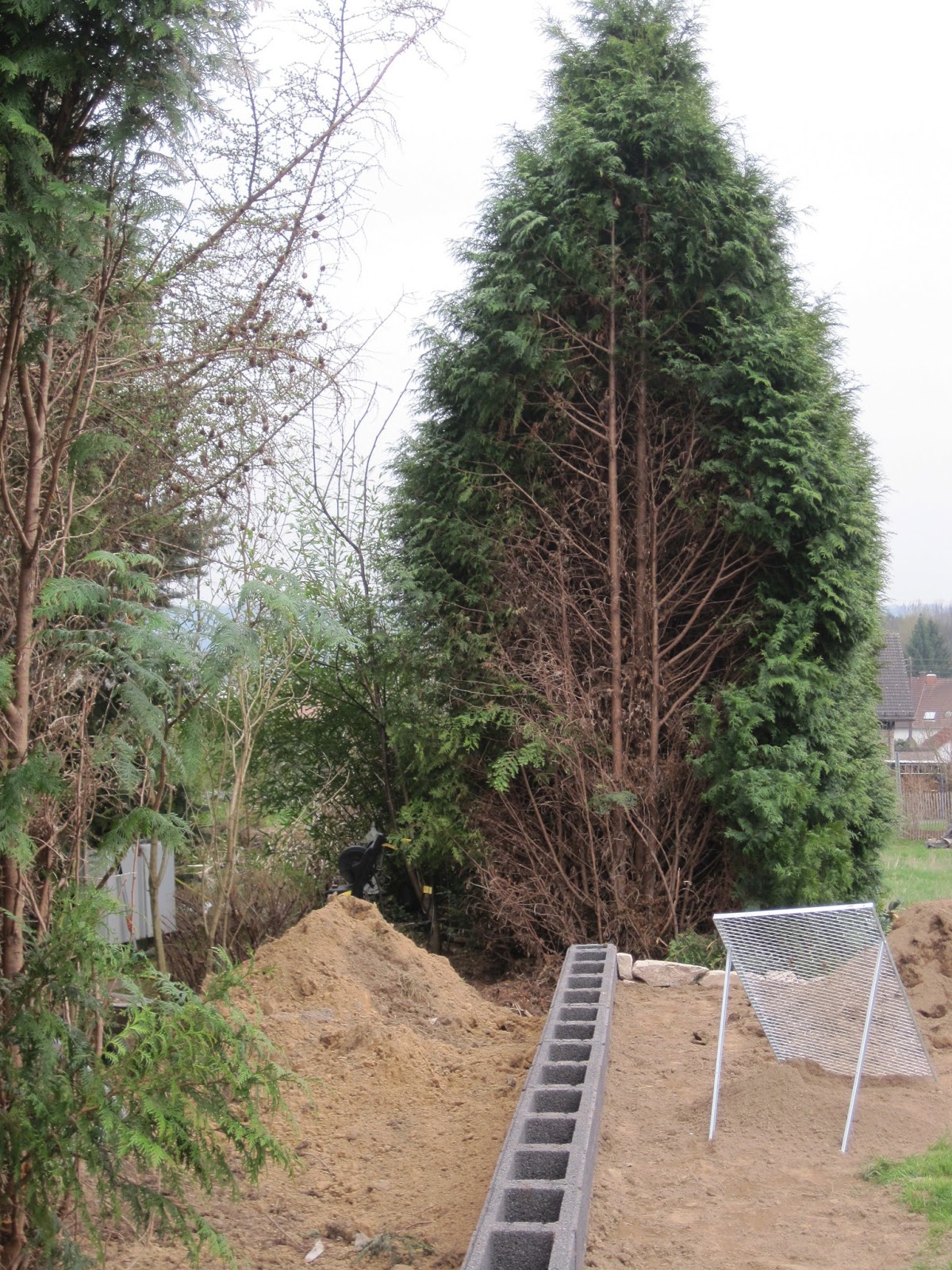 Wir Bauten Orange Medley200 Keller Wiga Gartengestaltung