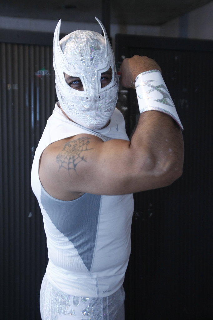 Luchadores de Lucha Libre AAA Luchador Argos