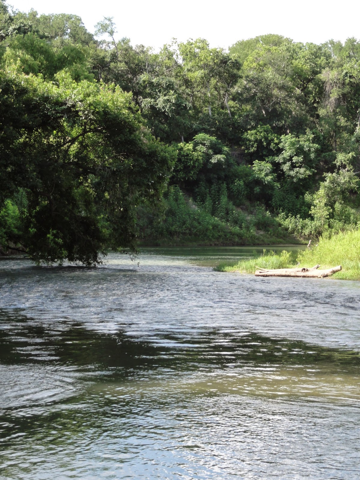 Austin Top 50 Fun in the Sun Palmetto State Park