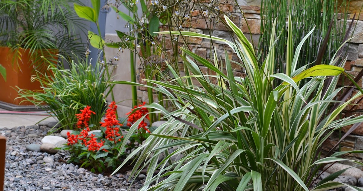 Jardines / Con Sabor a Hogar