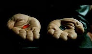 Articolo "Pillola rossa o pillola blu?"
