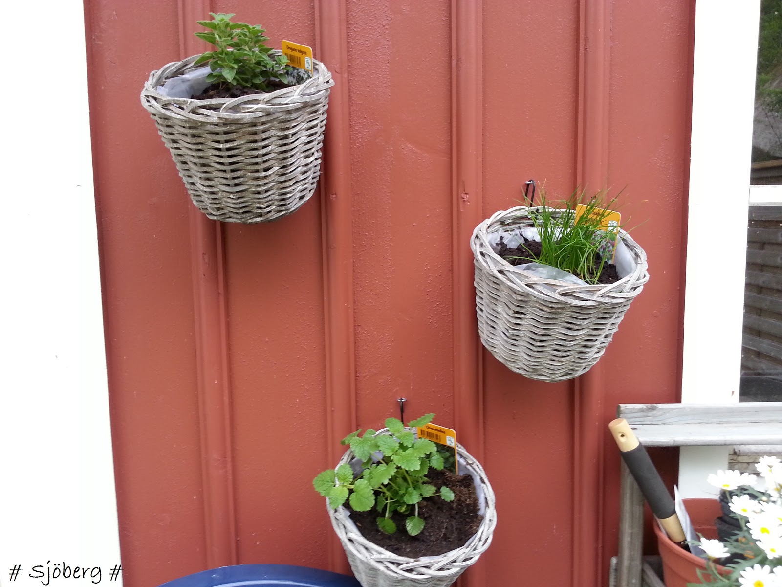 Hannas lilla kryp in.: maj 2013