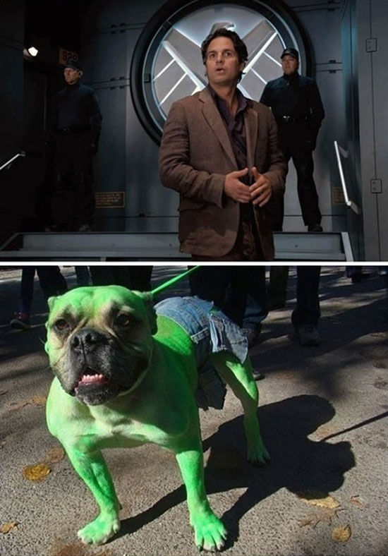 The Avengers Cast Of Animals