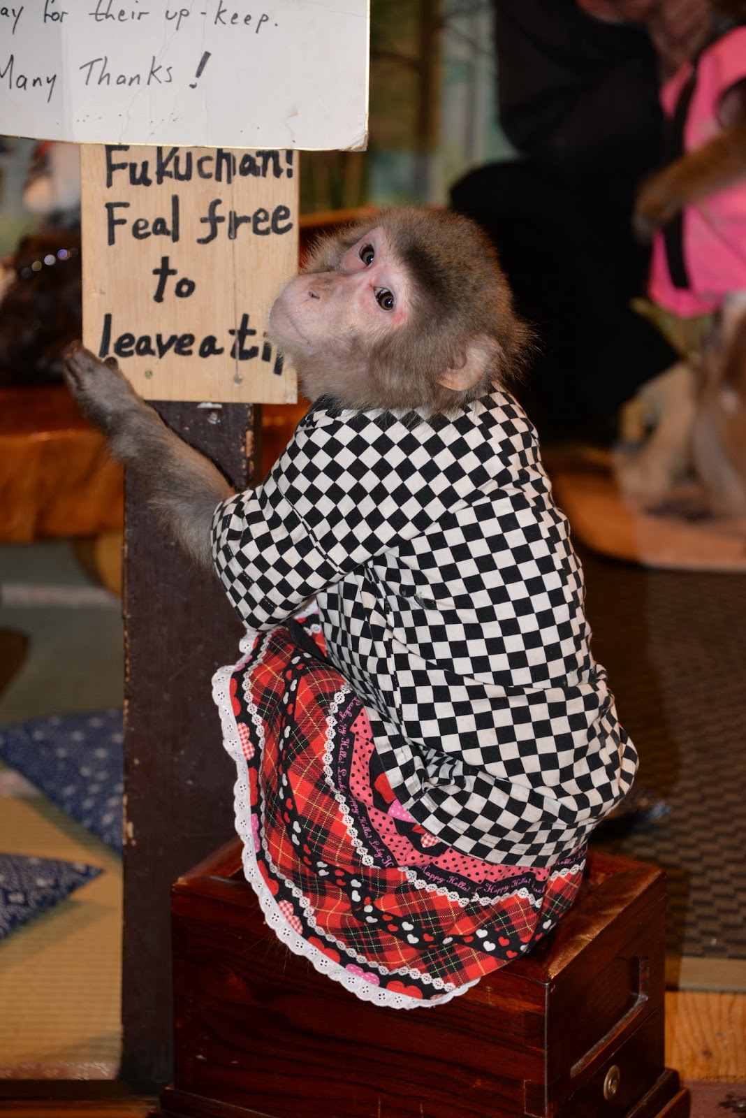 LC blog Monkey Waiters Kayabukiya Tavern Utsunomiya, Japan