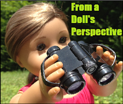 Click Here To Go To Anna's Blog, FromADollsPerspective!