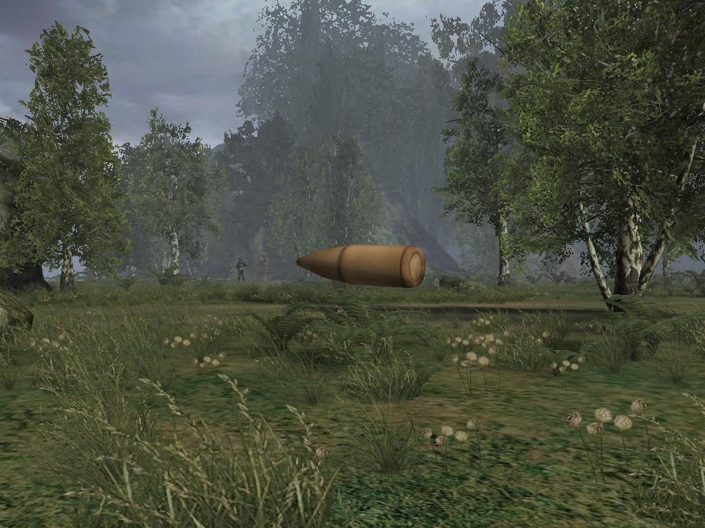 M For Mature M For Mature