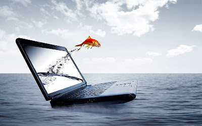 3D Notebook Fish Water HD Wallpaper FreeHDWall 3D Notebook Fish Water HD Wallpaper FreeHDWall