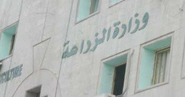 مصر تبحث امكانيه فتح اسواق للصادرات الزراعيه المصريه في دول الغرب