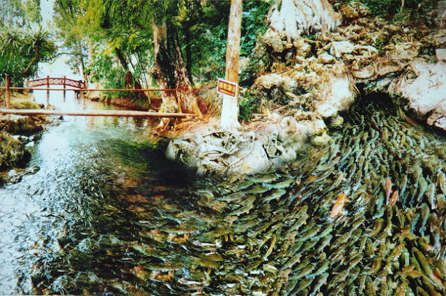 Suối Ngọc Vua Bà Suối Ngọc Vua Bà