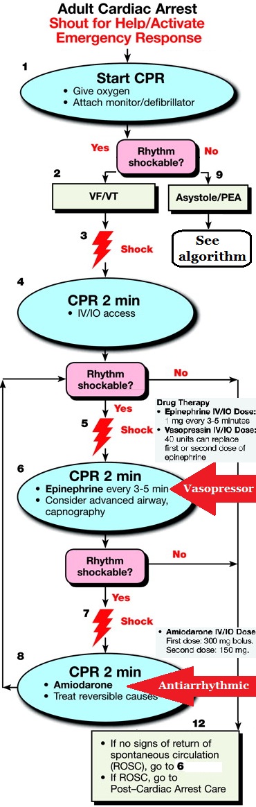 acls