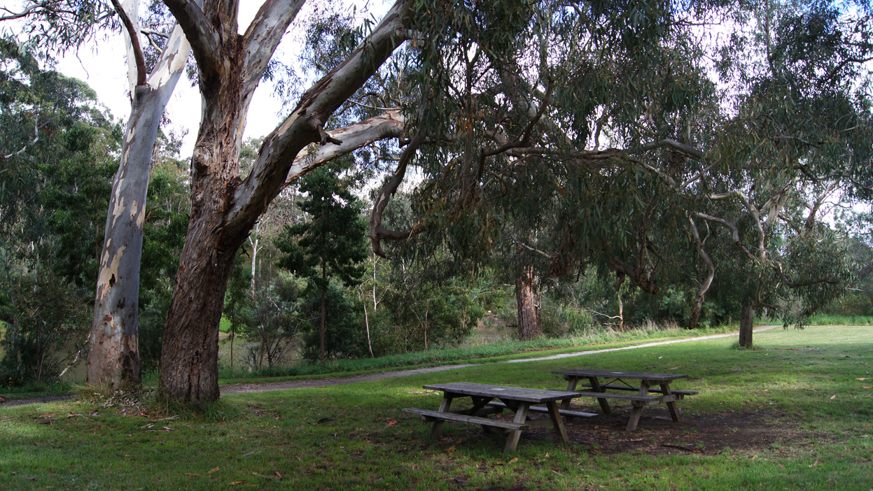 Yarra Bend Park