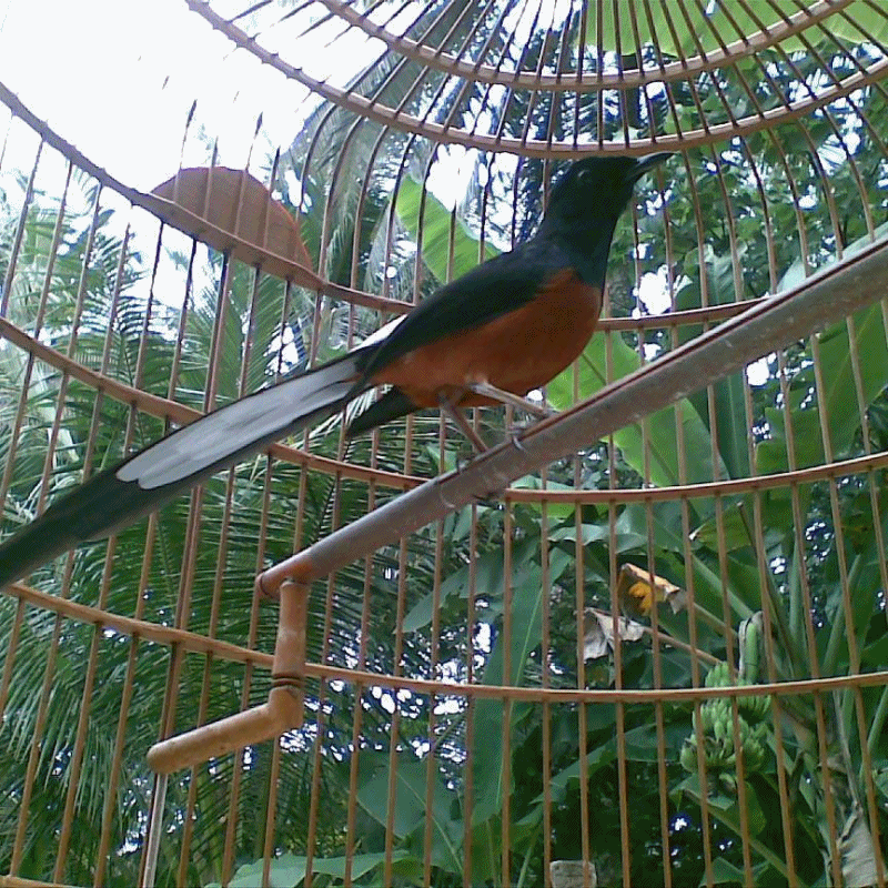 Https Encrypted Tbn0 Gstatic Com Images Q Tbn 3aand9gcservi3enhma Dopsdlib9asxnr0cznm5pq Esawcwzu0up3ulh