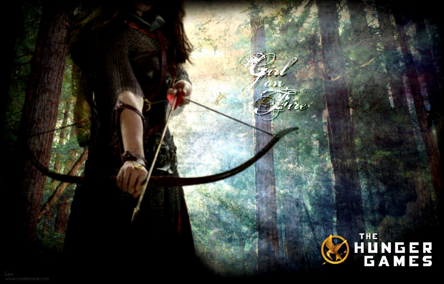 The Hunger Gamesquot Wallpapers The Hunger Games Wallpaper The Hunger Gamesquot Wallpapers The Hunger Games Wallpaper