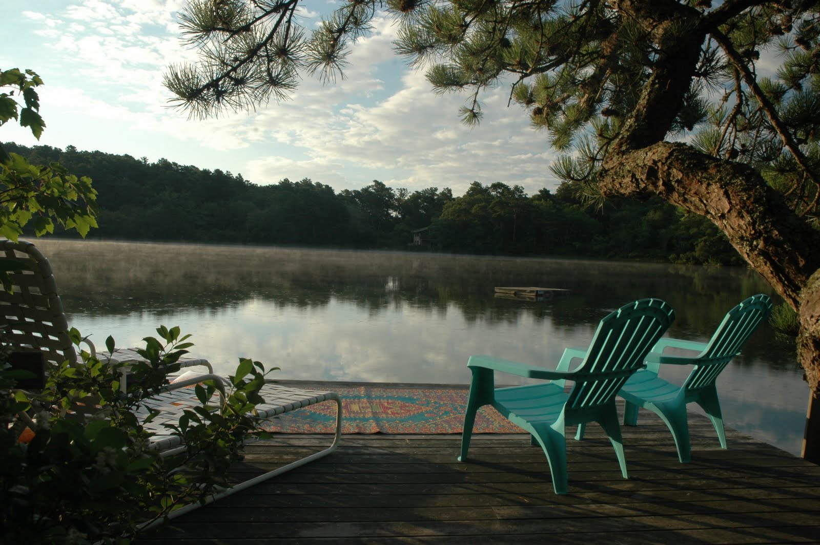 Party Resources Dinner Party on Cape Cod