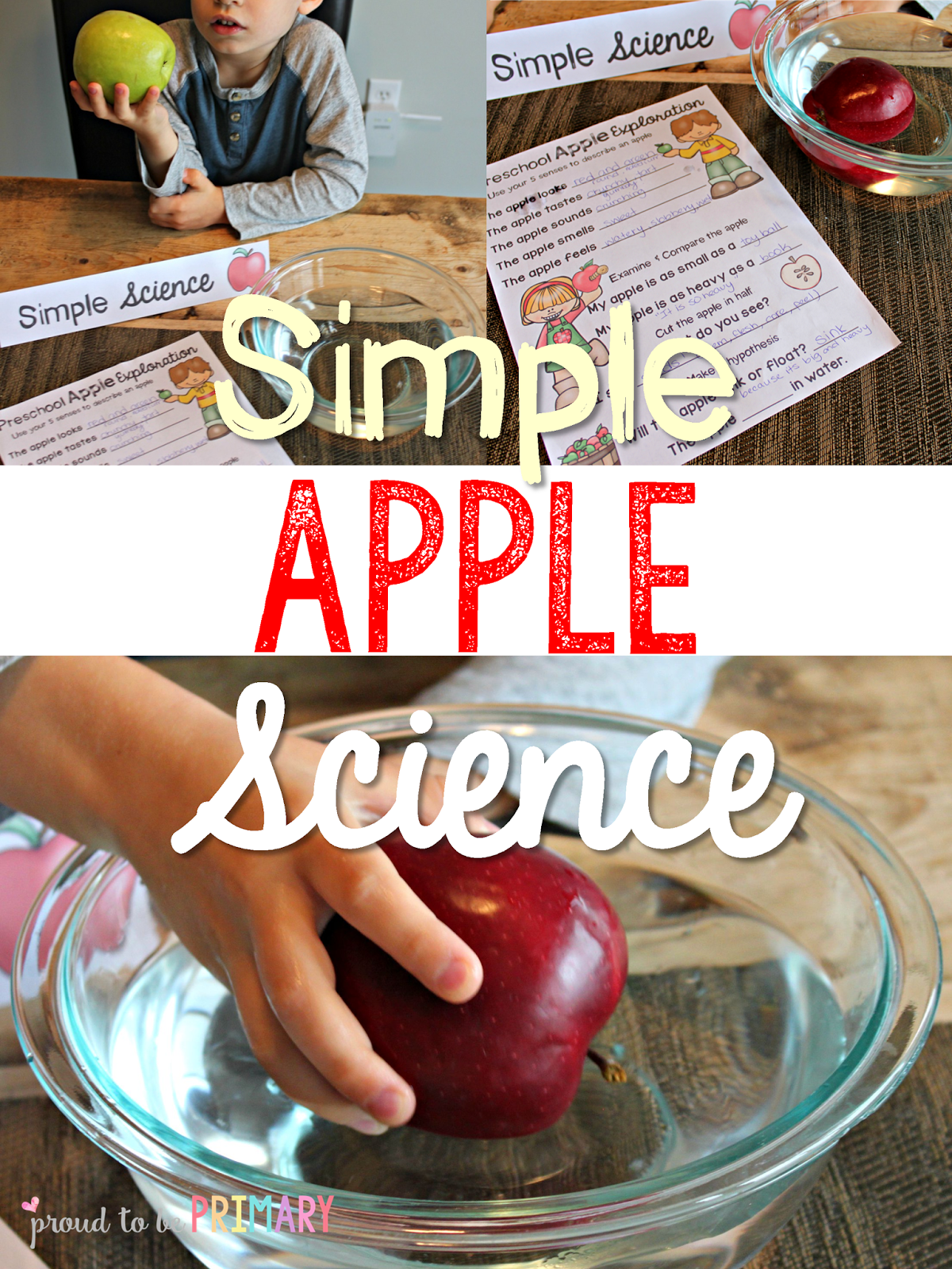 Apple Activities For Kids To Explore The 5 Senses Proud To